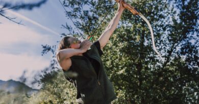 How to Choose the Perfect Recurve Bow