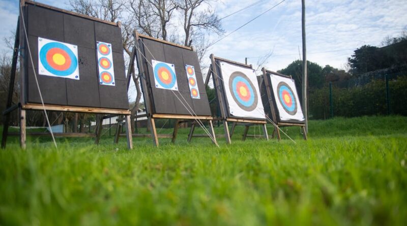 Choosing the Best Targets for Archery Training