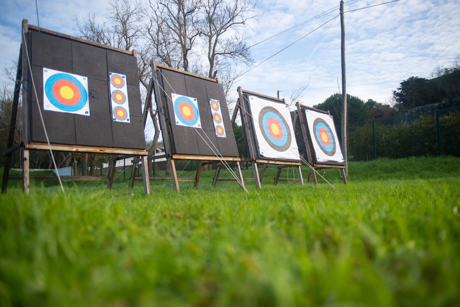 Choosing the Best Targets for Archery Training